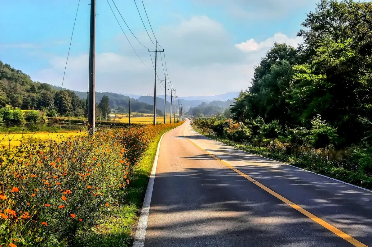 どうしても食べたい！和歌山から一番近いバーガーキングへのアクセス