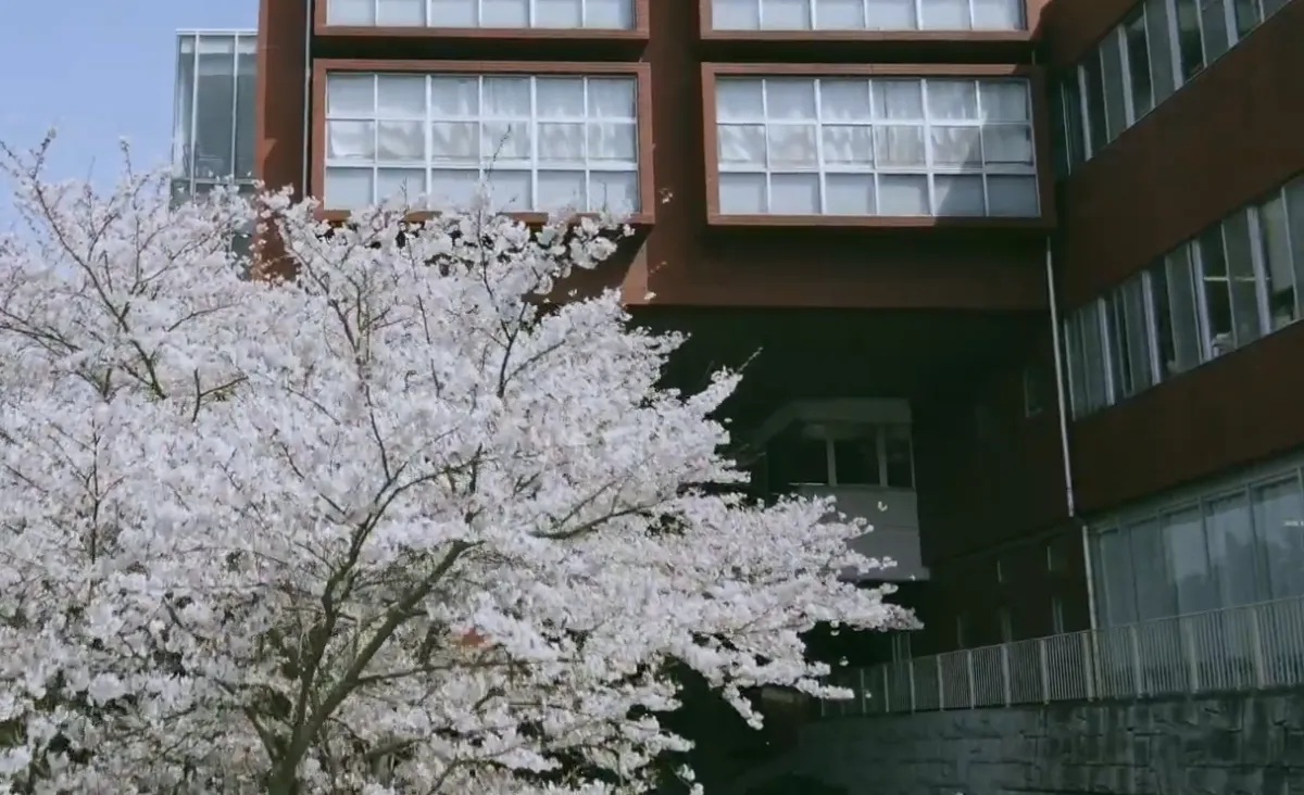 智弁和歌山の落ちこぼれは人生終了？進学ルートと現実