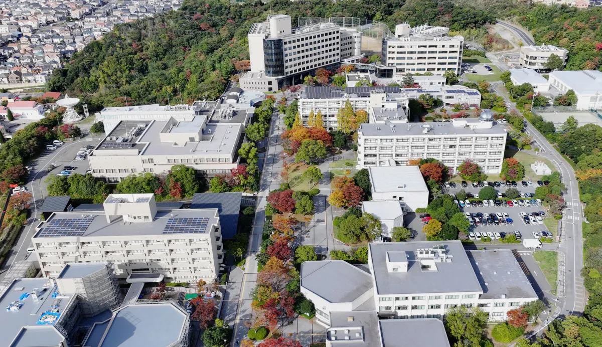  和歌山大学はFランで恥ずかしい？噂の正体を整理